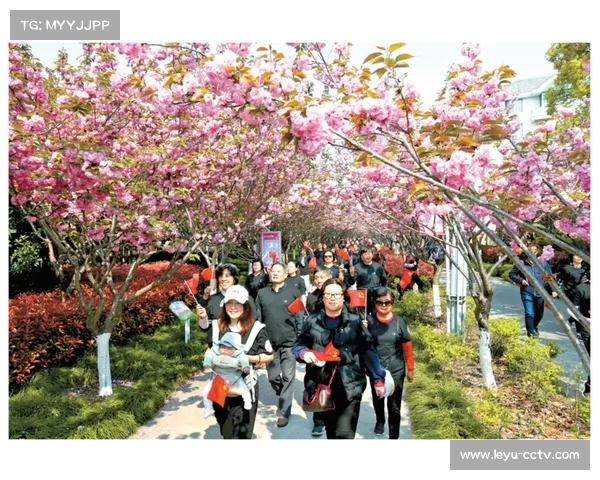 全民健身日垒球活动吸引300人参与 98%参与者表示愿意再次参与 全民健身日垒球活动吸引300人参与 98%参与者表示愿意再次参与
